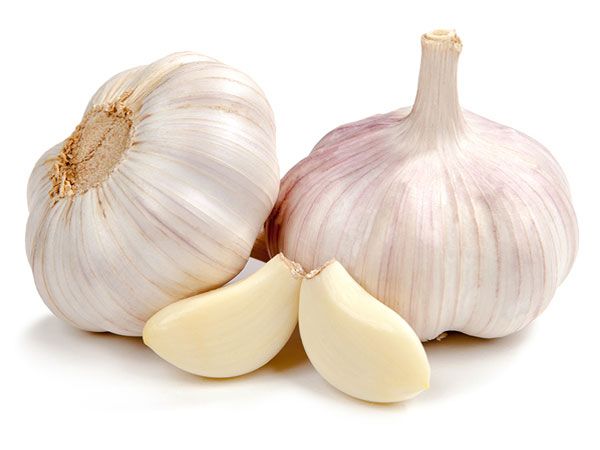 Fresh Chinese White Garlic